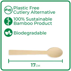 Disposable Bamboo Spoons 17cm Length : Pack of 1000