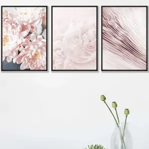 Set of 3 Abstract Pink Macro Floral Wall Art Prints / 30x42cm (A3) / Black Frame