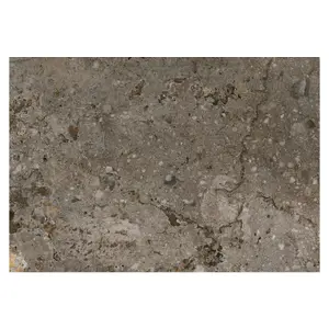 Zelus Brown Stone Effect Indoor & Outdoor Porcelain Tile - Pack of 4, 1.17m² - (L)650x(W)450mm