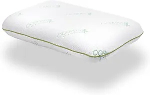 Jumbo Bamboo Memory Laytech Foam Pillow with Bamboo Cover