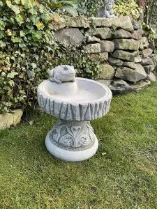 Rustic Garden Birdbath with Frog atop