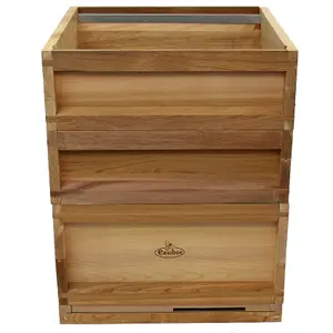 National Bee Hive In Top Quality Cedar