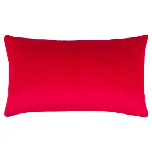 Heya Home Festive-Val Baubles Pom-Pom Feather Rich Cushion