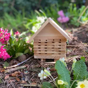 Wooden Solitary Bee Hive Hotel Habitat