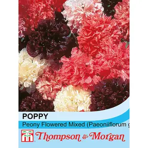 Poppy Peony Flowered Mixed 1 Packet (1500 Seeds)