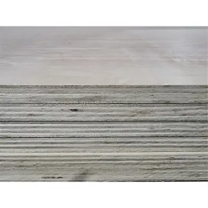 PACK OF 15 (Total 15 Units) - 2440mm x 1220mm x 25.0mm Hardwood Plywood Class 3 External Grade Sheet