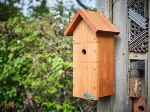 Green Feathers Wired Network 1080p HD Camera and Large Wooden Bird Box Starter Pack