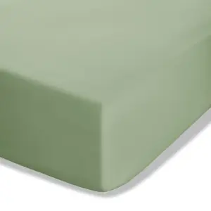 Catherine Lansfield Easy Iron Percale Combed Fitted Sheet 35cm Depth Sage Green