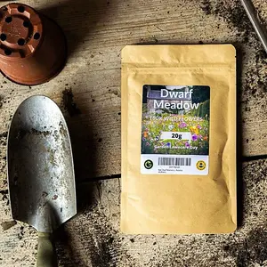 Dwarf Meadow Wildflower Seeds 100g (50m²)