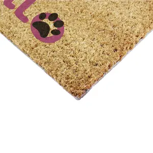 Cat Hello Coir Doormat (90 x 60cm)