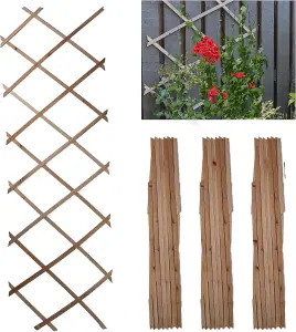 DIVCHI Wooden Trellis Expandable Garden Wall Trellis For Climbing Plants Decoration & Plants Partitioning Pack Of 3 180cm x 30cm