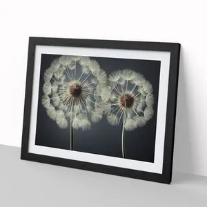 Creative Dandelion Flowers - Single Picture Frame Print Black / 46cm H x 64cm W x 2cm D