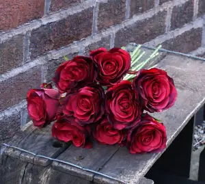 Artificial Silk Bunch of Roses. 9 Stems. Red. H40 cm