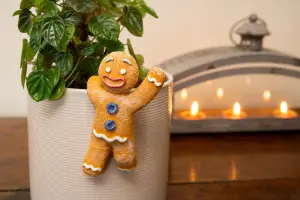 Pot Buddies Christmas Gingerbread Man Plant Pot Hanger