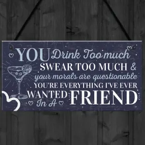 Red Ocean Funny Best Friend Friendship Sign Drink Too Much Gin Vodka Birthday Gift Plaque