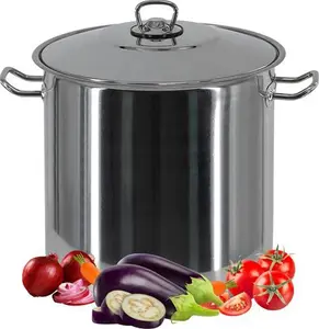 Arian Gastro Large Deep Stainless Steel Induction Stock Pot Casserole Stockpot (17 Litre)