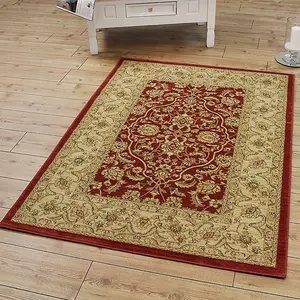 Traditional Floral Graphics Easy to clean Rug for Dining Room -200cm X 300cm