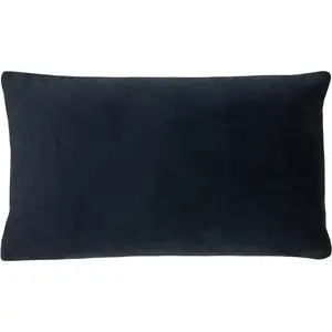 Paoletti Sunningdale Rectangular Velvet Feather Filled Cushion