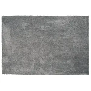 Shaggy Area Rug 200 x 300 cm Grey EVREN