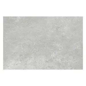 Zen Matt Grey Concrete Effect Porcelain Outdoor Tile - Pack of 10, 5.4m² - (L)900x(W)600mm