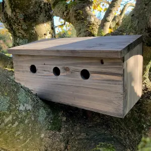 Sparrow Colony Terrace Wooden Nesting Box