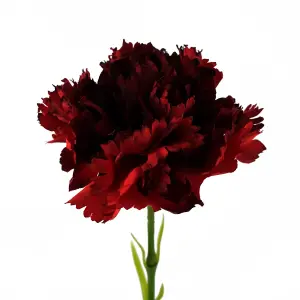 50cm Single Red Carnation Artificial Flower