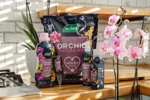 Westland Peat-free Orchid Potting mix 8L