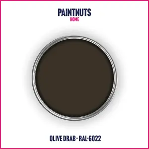 PaintNuts UPVC Door & Window Satin Paint - Olive Drab - 400ml Spray Can (RAL6022)