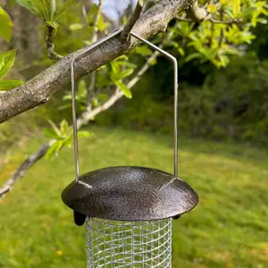 Hanging Nut Metal Bird Feeder For Garden Birds