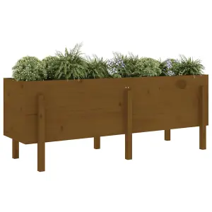 Berkfield Garden Raised Bed Honey Brown 160x50x57 cm Solid Wood Pine