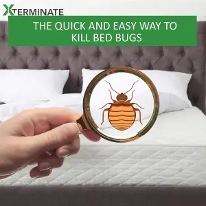 Xterminate Larger Bed Bug Killer Spray and Fogger Pack Bed Bug Treatment for the Home 3 Room Treatment