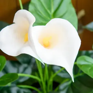 HOMCOM Artificial Set of 2 Calla Lily Flower Faux Plant for Indoor Décor