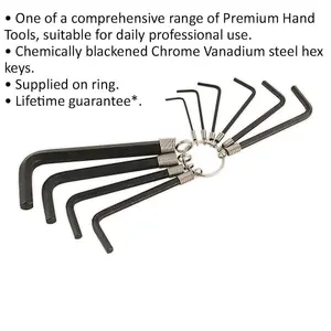 Premium 10 Piece Hex Key Set in Blackened Chrome Steel - Complete Allen Wrench Set from 1.5mm to 10mm