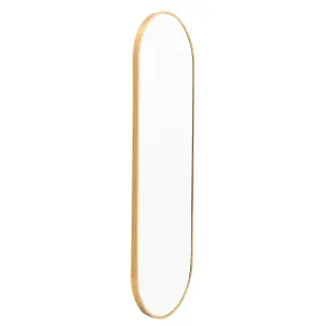 Gold Oval Wall Mounted Framed Full Length Mirror Dressing Mirror 50 x 160 cm