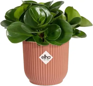 Elho Vibes Fold Mini 11cm Round Delicate Pink Recycled Plastic Plant Pot