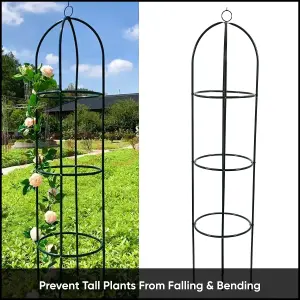 Garden Plant Obelisk For Garden Plants Vines Support