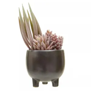 Fiori Mixed Succulents In Ceramic Pot Artificial Plant Foliage