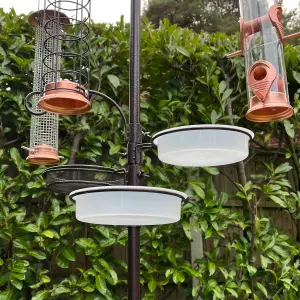 Deluxe Bird Feeder Station With Four Feeders And Squirrel Baffle