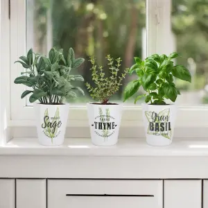 Purely Home Green Label Herbs Chilli Plant Pot - Small Ceramic Plant Pot Gift