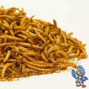 10kg BusyBeaks Dried Mealworms - High Quality Wild Bird Food Treats For Garden Birds