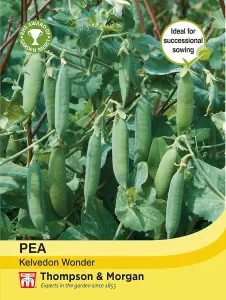 Pea Kelvedon Wonder 1 Seed Packet (250 Seeds)