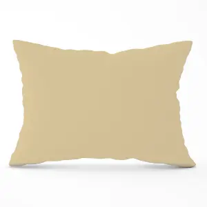 Biscuit Brown Cushions 33cm x 48cm