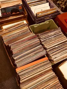 Record Collection House Clearance Job Lot Vinyl 12" Records X 75