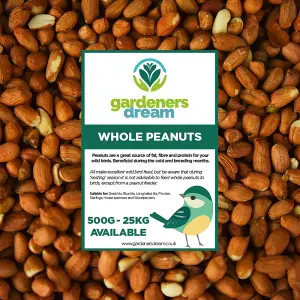 Whole Peanuts Wild Bird Food (1kg)