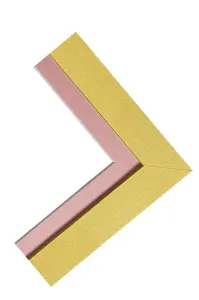 Metro Gold Frame with Pink Mount for Image Size 14 x 8 Inch