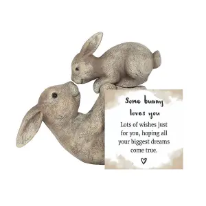 Something Different Some Bunny Loves You Ornament Grey (One Size)