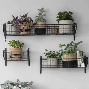 Large Hanging Basket Shelf - Holds Bathroom Toiletries and Study Stationery Supplies (Large H12 x W84 x D18.5cm)