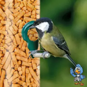 5L BusyBeaks Insect Suet Pellets - High Quality Feed Wild Garden Bird Food