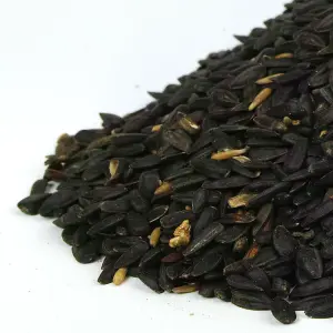 1L SQUAWK Black Oil Sunflower Seeds - Wild Garden Bird Food Oil Rich Feed