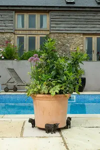 Highland Cow Plant Pot Feet - Set of 3 - L7.5 x W12 x H8 cm